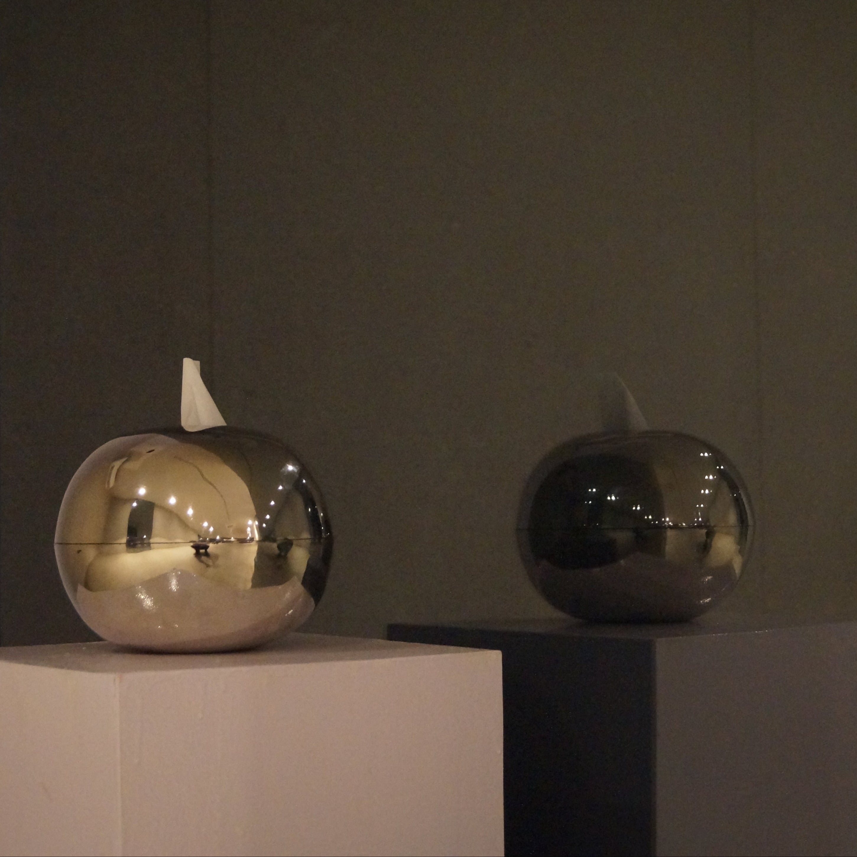 The Ovoid Keeper / reflective