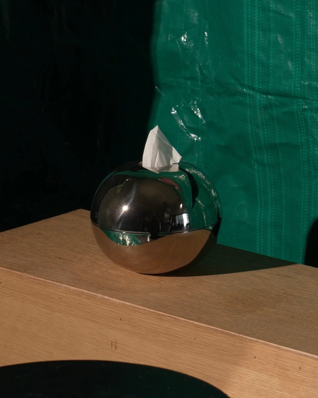 The Ovoid Keeper / reflective