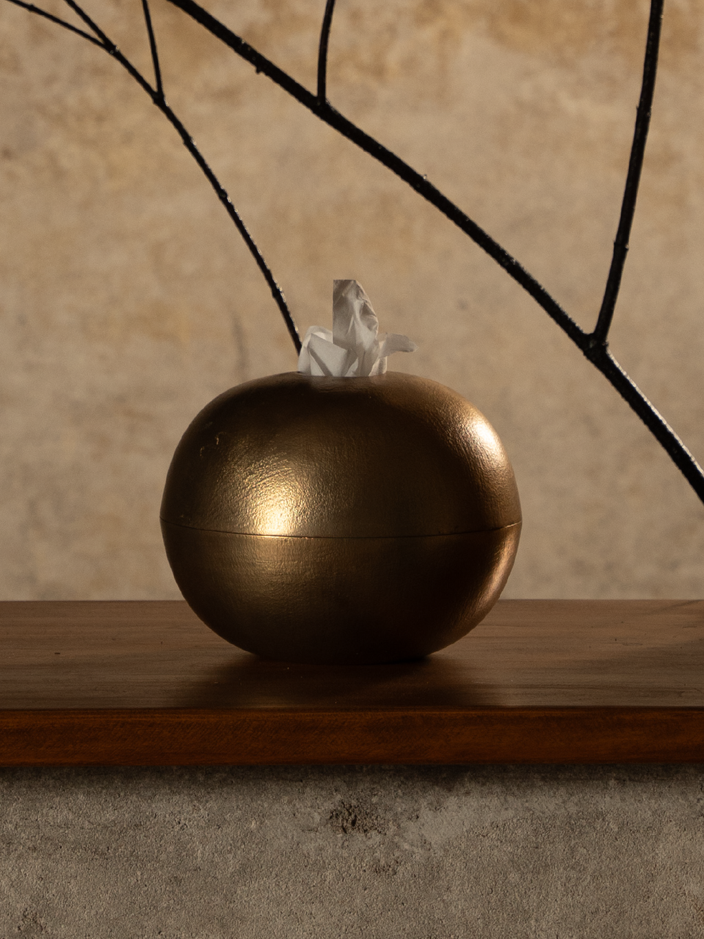 The Ovoid Keeper / brass textured