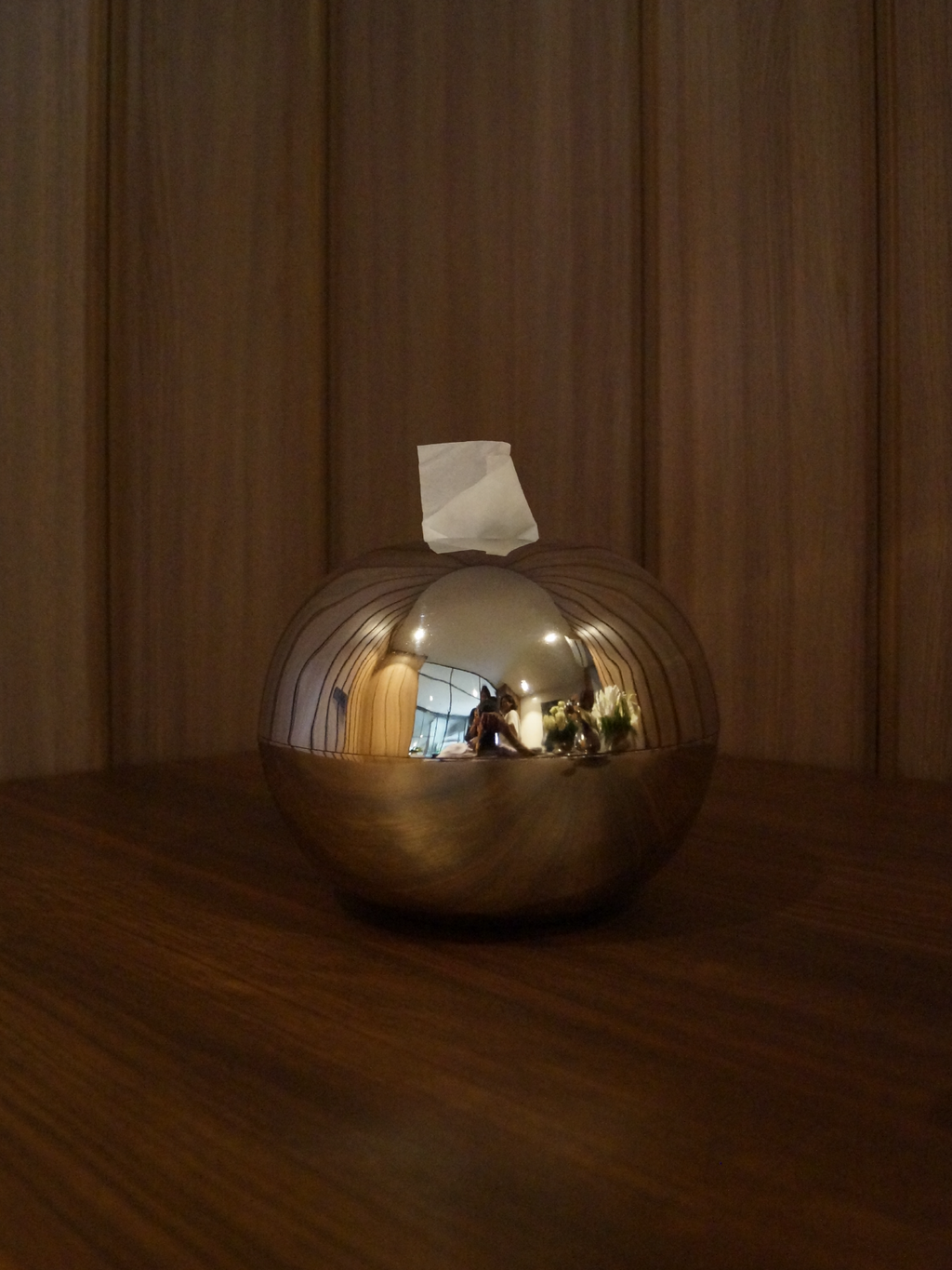 The Ovoid Keeper / reflective