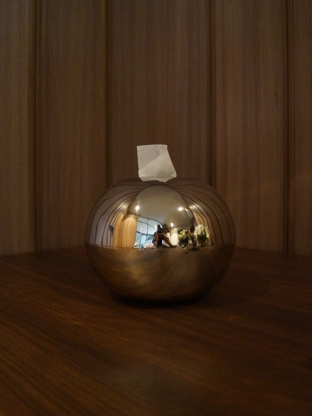 The Ovoid Keeper / reflective