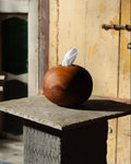 The Ovoid Keeper / mid tone wood